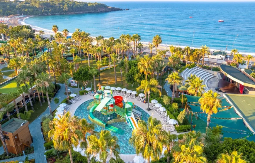 Leodikya Kirman Premium